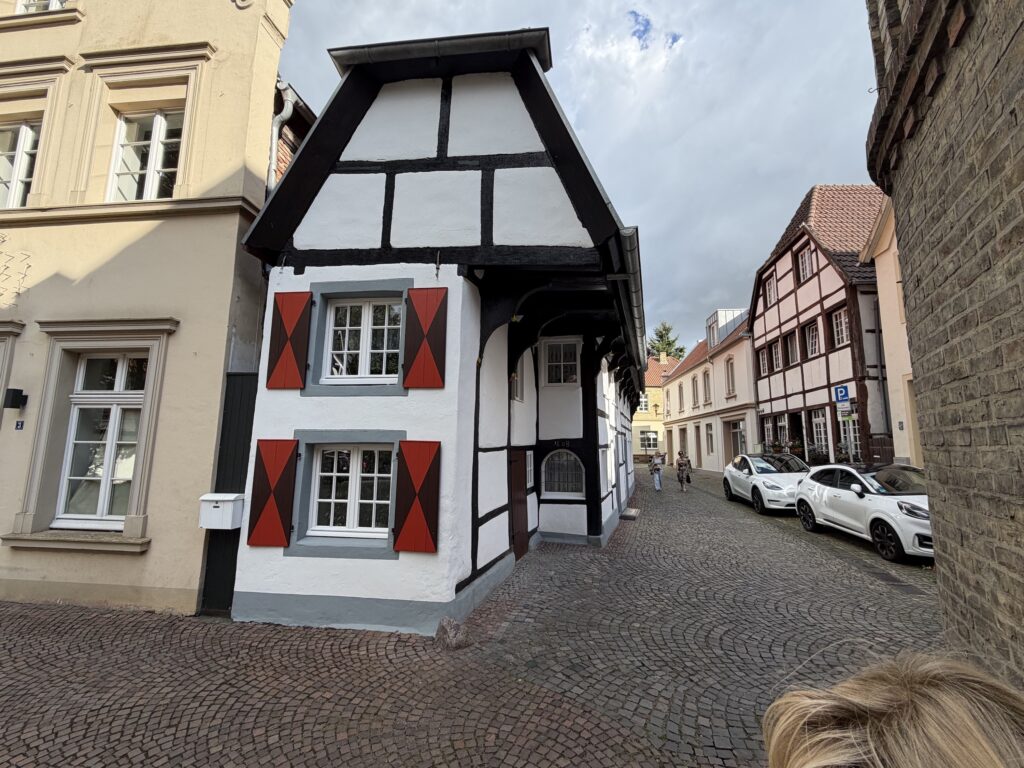 IMG 2329