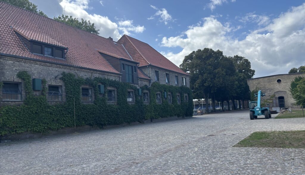 IMG 7045